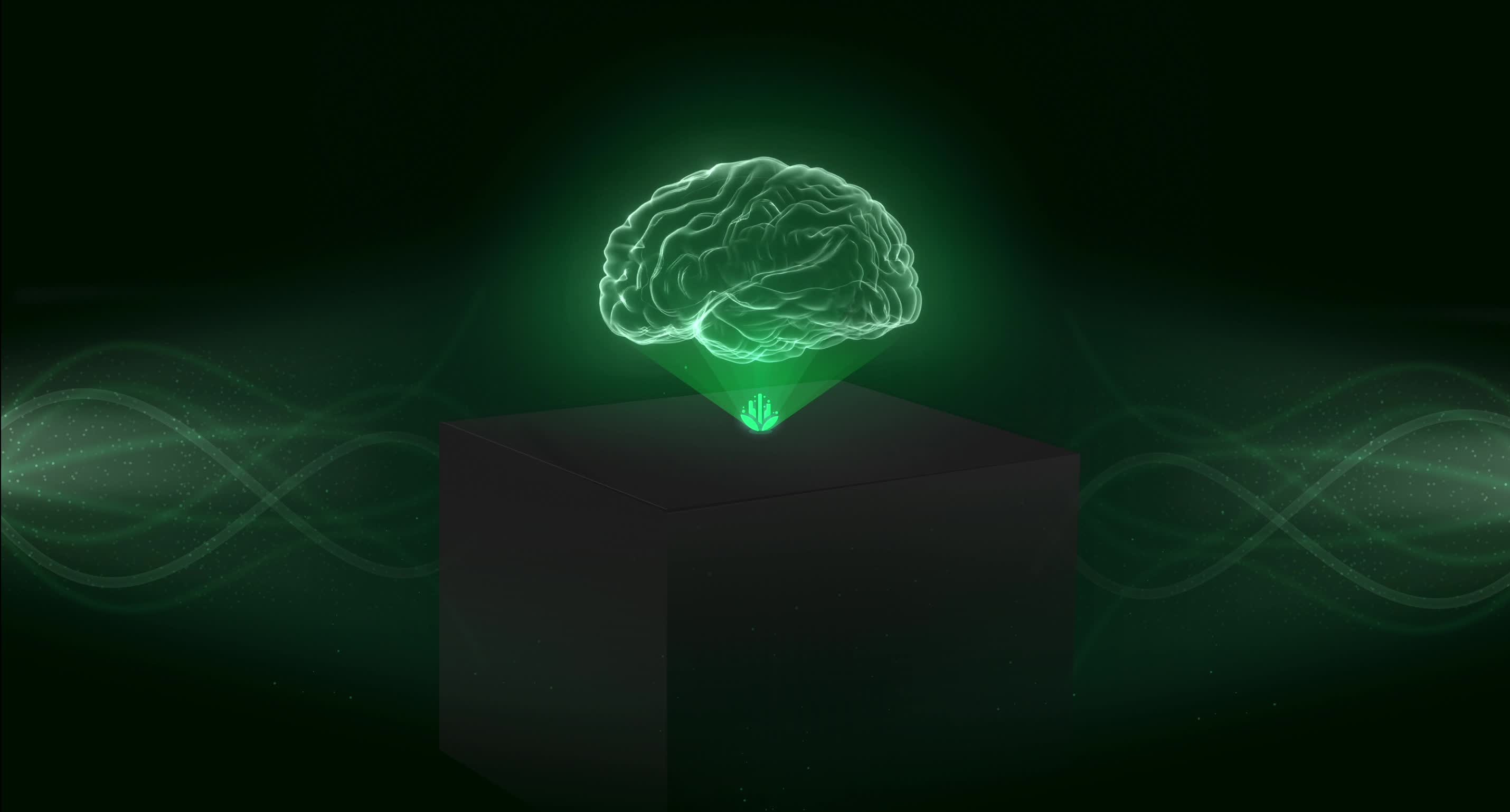 Animation